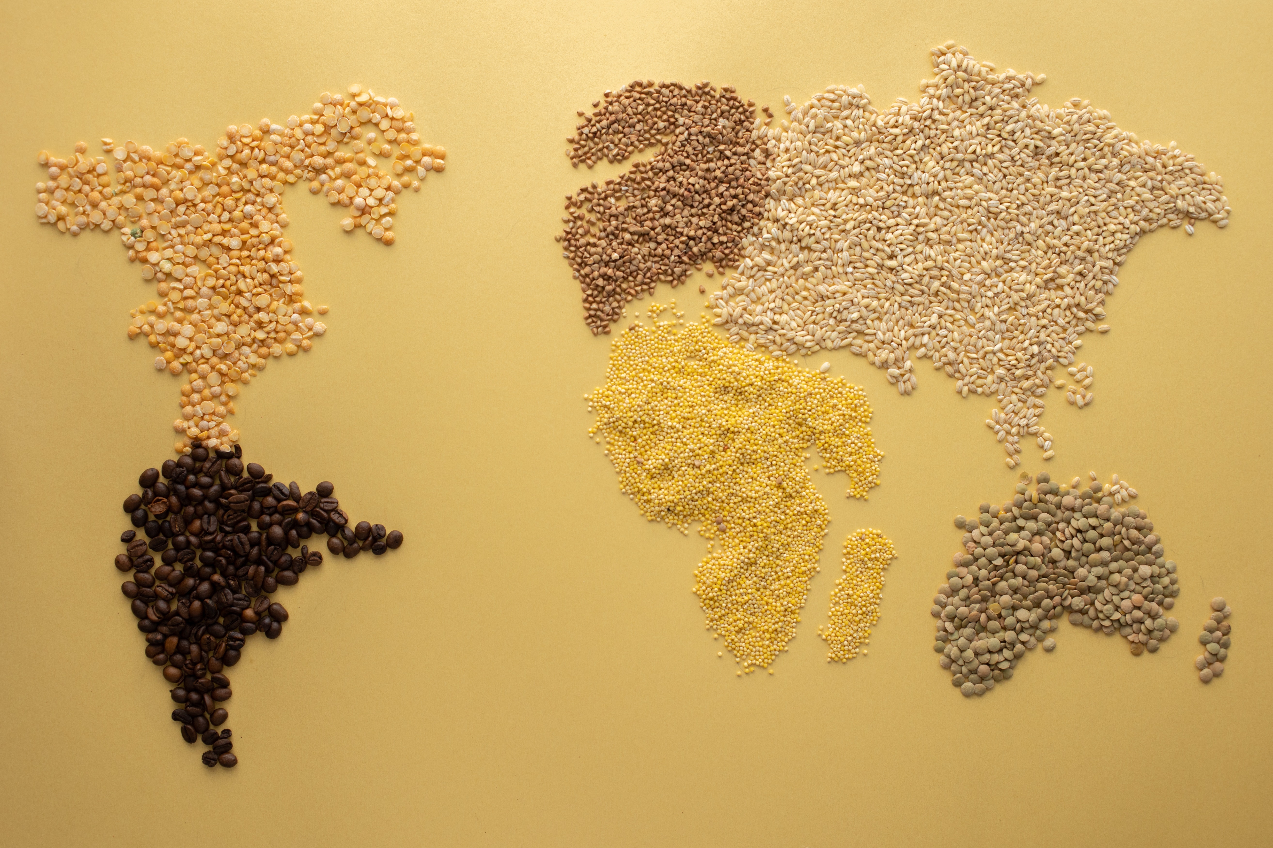 World of Legumes!